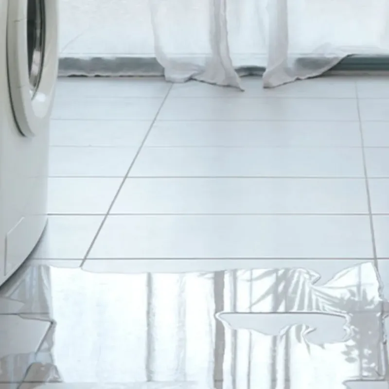 Appliance Leak Cleanup in Oregon, WI