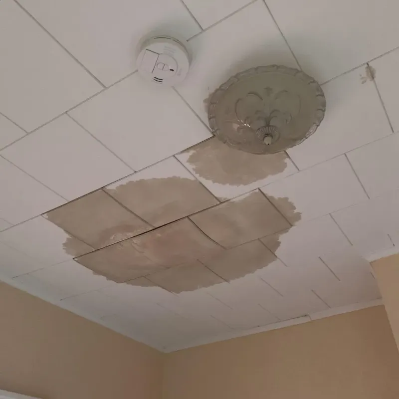 Ceiling Water Damage Repair in Oregon, WI
