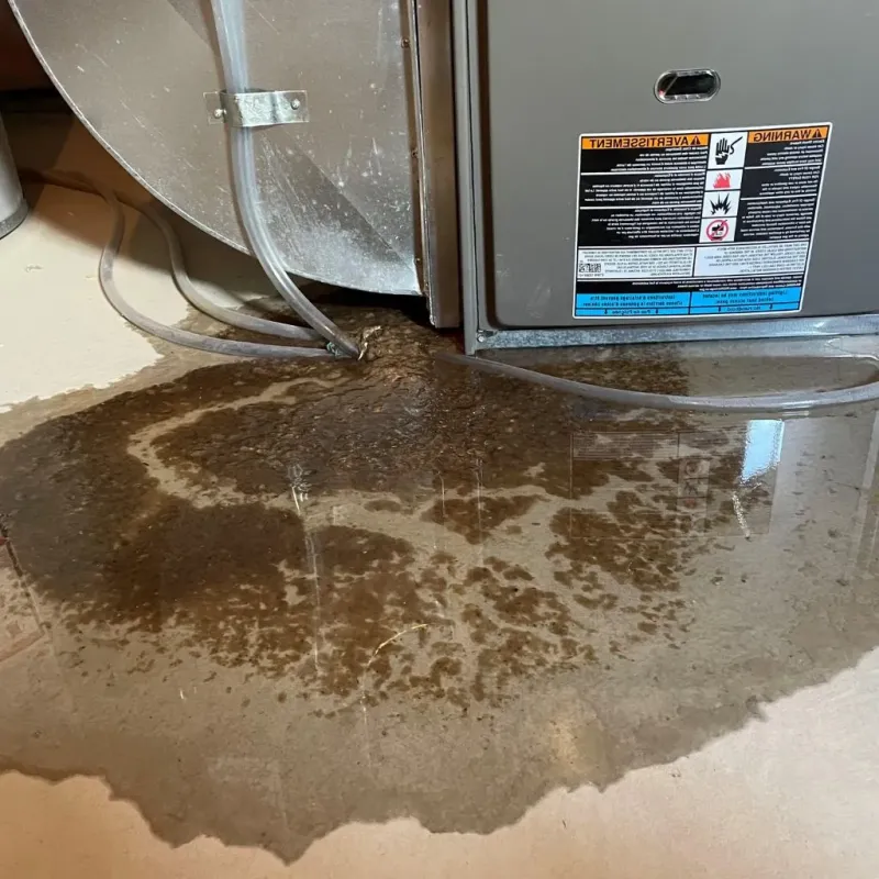 Pipe Burst and Leak Restoration in Oregon, WI