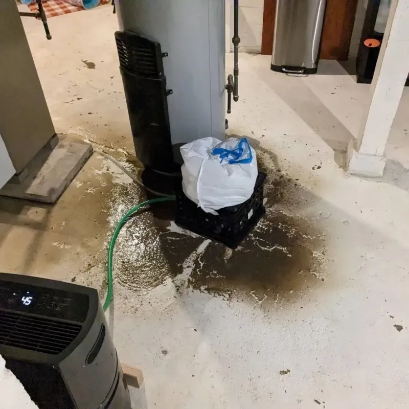 Sewage Backup Cleanup Service in Oregon, WI